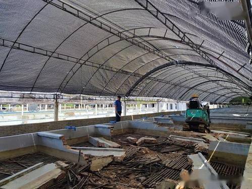 拆 這個地方的工廠化養(yǎng)殖已清退112家