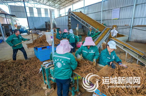 做強做優龍頭企業 持續壯大產業集群